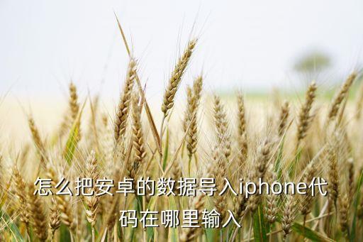 怎么把安卓的数据导入iphone代码在哪里输入