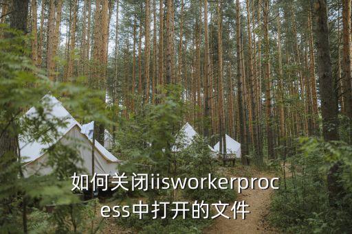 如何关闭iisworkerprocess中打开的文件