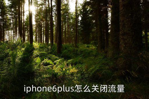 iphone6plus怎么关闭流量