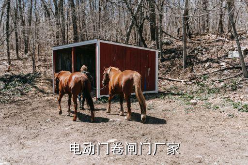 电动门卷闸门厂家