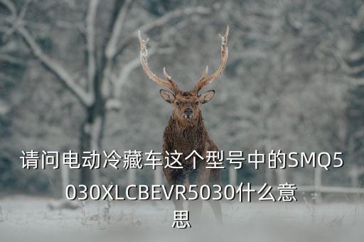 bev是什么意思,新能源汽车bev是什么意思