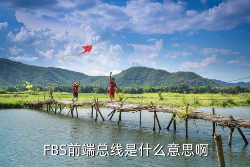 fbs,含fbs的pbs是什么溶液?