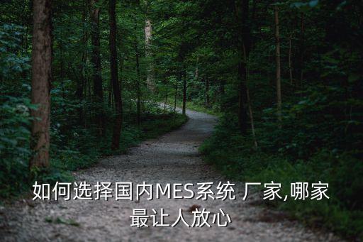 如何选择国内mes系统 厂家,哪家最让人放心