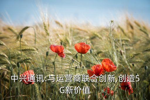 中兴通讯:与运营商联合创新,创造5g新价值