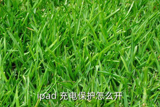 ipad 充电保护怎么开