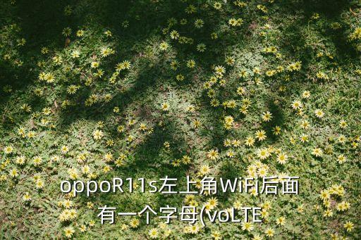 oppor11s左上角wifi后面有一个字母(volte