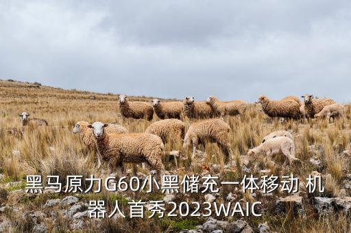 黑马原力g60小黑储充一体移动 机器人首秀2023waic