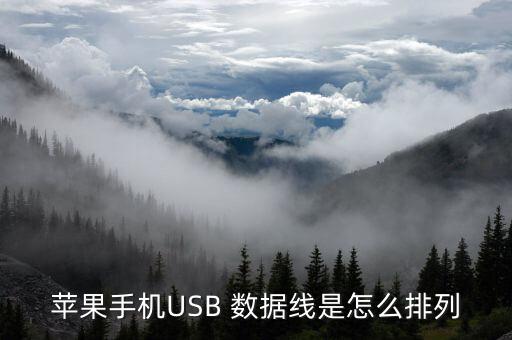 苹果手机usb 数据线是怎么排列