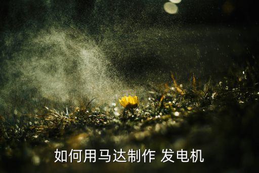 永动发电机,磁力自循环永动发电机