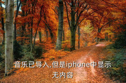 音乐已导入,但是iphone中显示无内容