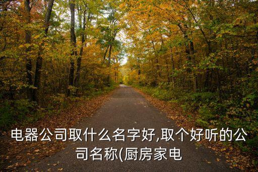 电器公司取什么名字好,取个好听的公司名称(厨房家电