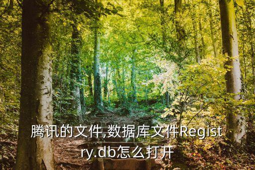 腾讯的文件,数据库文件registry.db怎么打开