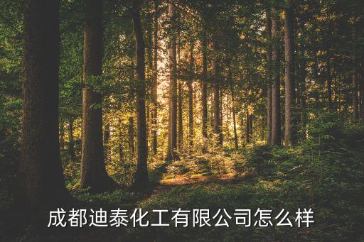 成都迪泰化工有限公司怎么样