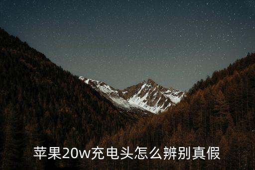 苹果20w充电头怎么辨别真假