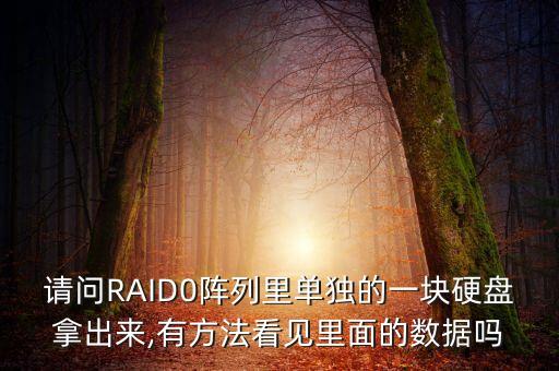 请问raid0阵列里单独的一块硬盘拿出来,有方法看见里面的数据吗