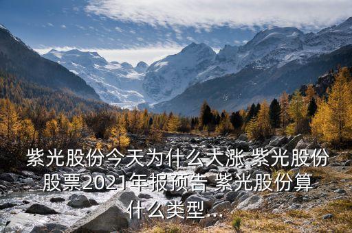  紫光股份今天为什么大涨 紫光股份 股票2021年报预告 紫光股份算什么类型...