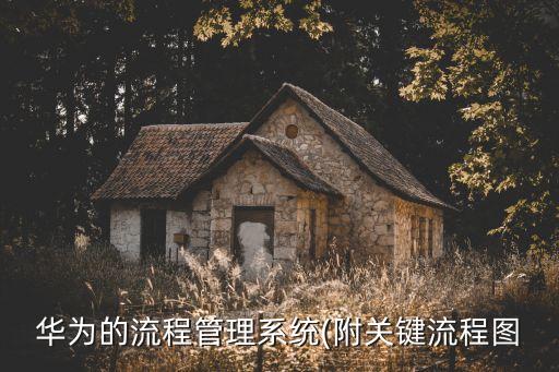 华为的流程管理系统(附关键流程图