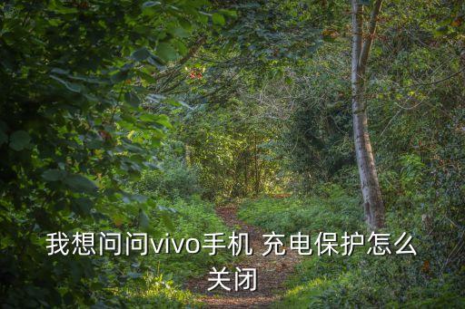 充电保护,什么是充电保护?vivo充电器有什么用?