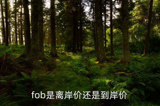 fob是离岸价还是到岸价