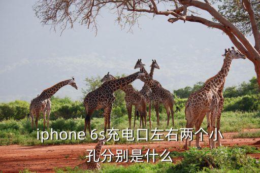 iphone 6s充电口左右两个小孔分别是什么