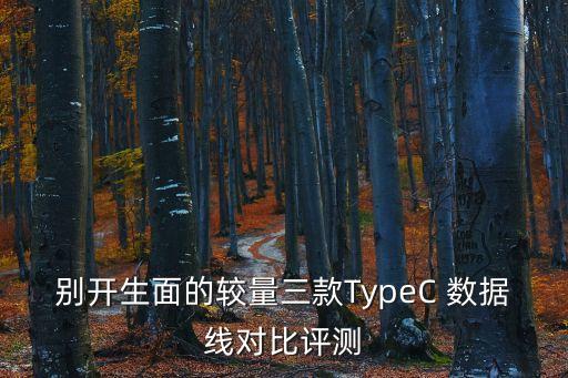 别开生面的较量三款typec 数据线对比评测