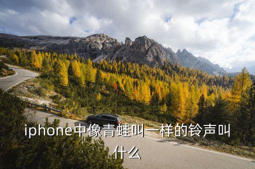 iphone中像青蛙叫一样的铃声叫什么