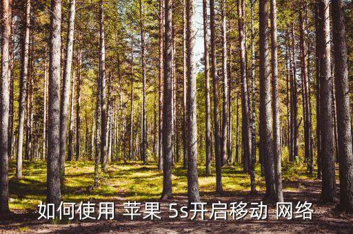 如何使用 苹果 5s开启移动 网络