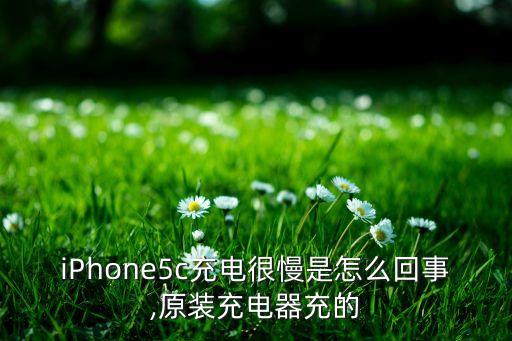 iphone5c充电很慢是怎么回事,原装充电器充的