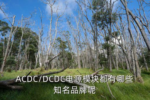 acdc/dcdc电源模块都有哪些知名品牌呢