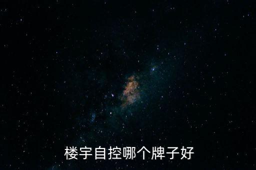  楼宇自控哪个牌子好