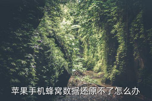 苹果手机蜂窝数据还原不了怎么办