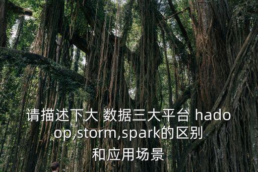 请描述下大 数据三大平台 hadoop,storm,spark的区别和应用场景