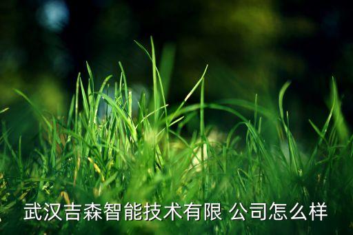 江夏区自动化集成公司,自动化机器人集成公司