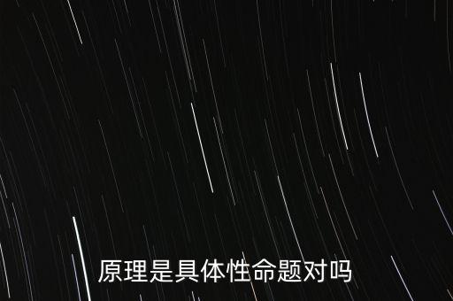 原理是具体性命题对吗