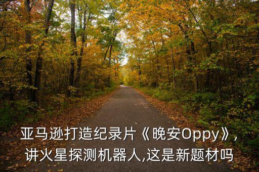 亚马逊打造纪录片《晚安oppy》,讲火星探测机器人,这是新题材吗