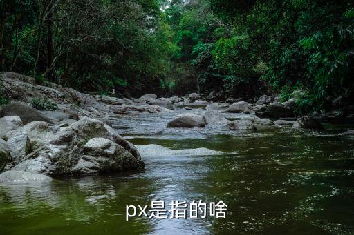 px是指的啥