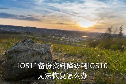 ios11备份资料降级到ios10无法恢复怎么办