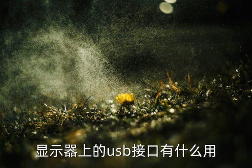 显示器上的usb接口有什么用