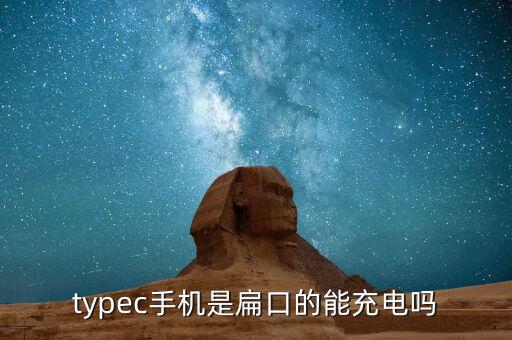 typec手机是扁口的能充电吗