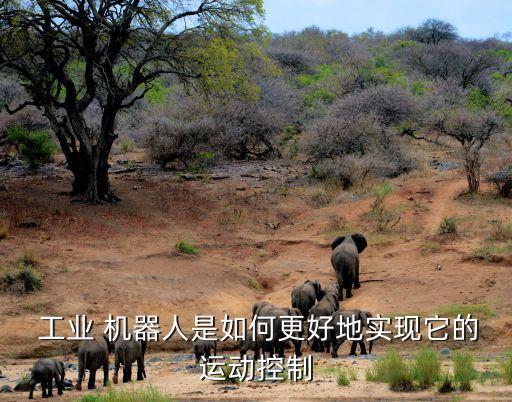  工业 机器人是如何更好地实现它的运动控制