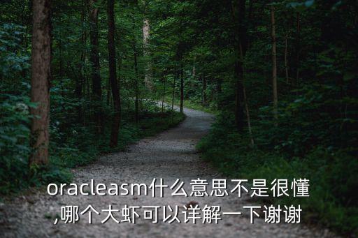 oracleasm什么意思不是很懂,哪个大虾可以详解一下谢谢