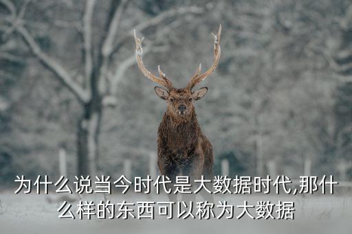 为什么说当今时代是大数据时代,那什么样的东西可以称为大数据