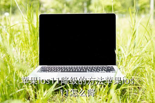 苹果ios11降级的方法苹果ios11怎么降