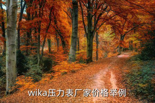 wika压力表厂家价格举例