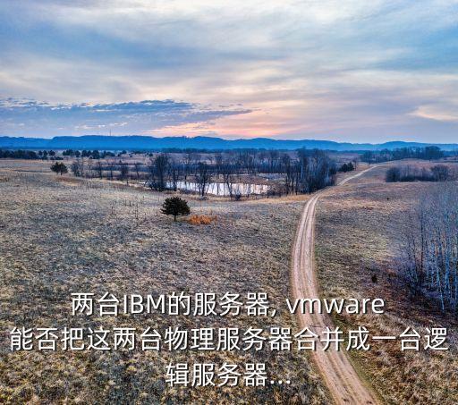 两台ibm的服务器, vmware能否把这两台物理服务器合并成一台逻辑服务器...