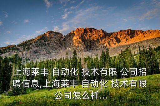 上海莱丰 自动化 技术有限 公司招聘信息,上海莱丰 自动化 技术有限 公司怎么样...