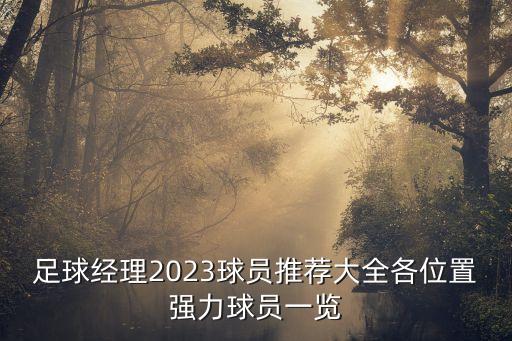 足球经理2023球员推荐大全各位置强力球员一览