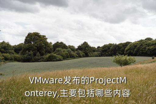 vmware发布的projectmonterey,主要包括哪些内容