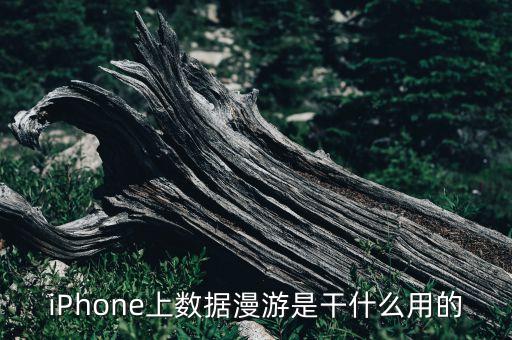 iphone上数据漫游是干什么用的