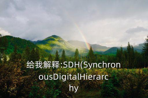 给我解释:sdh(synchronousdigitalhierarchy